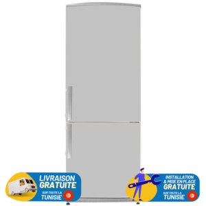 Combiné Acer 373L NoFrost GS373LXS - Sliver