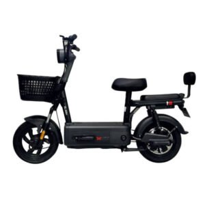 Scooter Electrique