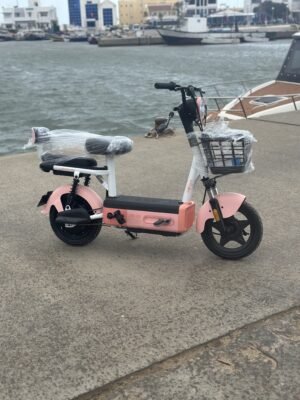 Scooter Éléctrique SAIGE 400 Watts